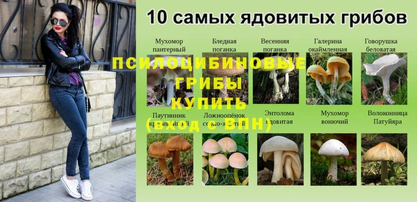 a pvp Арсеньев
