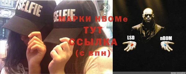 тгк Аркадак